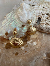 Load image into Gallery viewer, Clemantine Shell Stud Earring Gold
