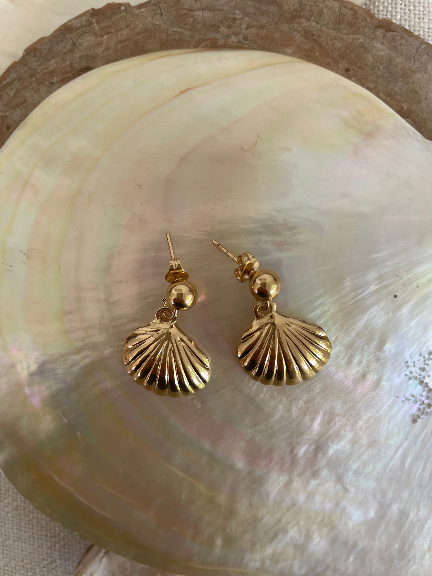 Clemantine Shell Stud Earring Gold