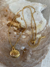 Load image into Gallery viewer, Sienna Shell Necklace Gold
