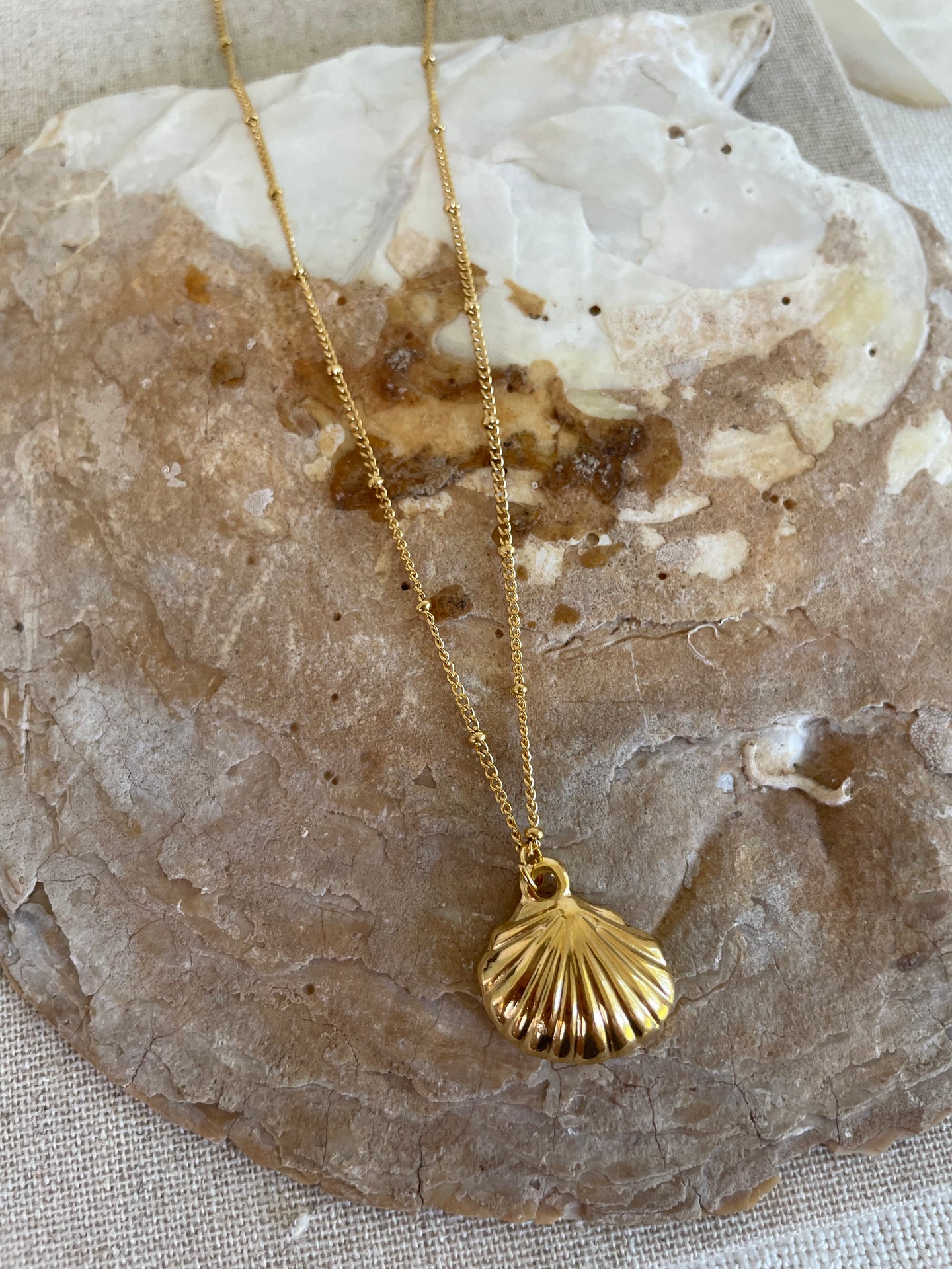 Sienna Shell Necklace Gold